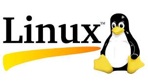 Sizin için Linux mu daha cazip Windows mu ?