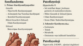 Kardiyomiyopati