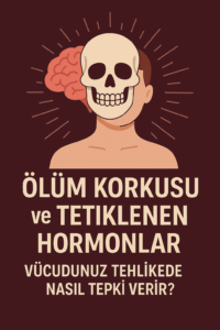 olum-korkusu-hormonlar